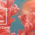 2019 Yılının Pantone Rengi: Living Coral 16-1546
