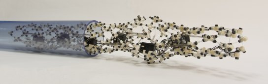 Biyomimetik Solucan Botu