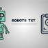 Google Robots.txt Dosyalarını Artık Desteklemeyecek mi?