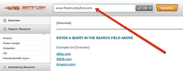 SEMRush Website Arama Kutusu