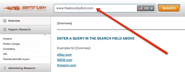 SEMRush Website Arama Kutusu