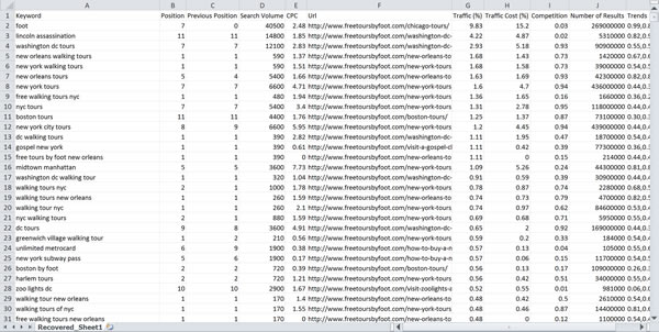 SEMRushtan İndirilen XLS Dosyasının Görünümü