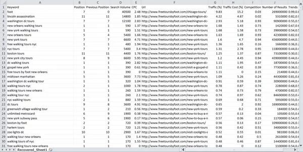 SEMRushtan İndirilen XLS Dosyasının Görünümü